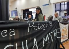 Creación del área natural protegida de Península Mitre: El discurso de la legisladora Monica Acosta